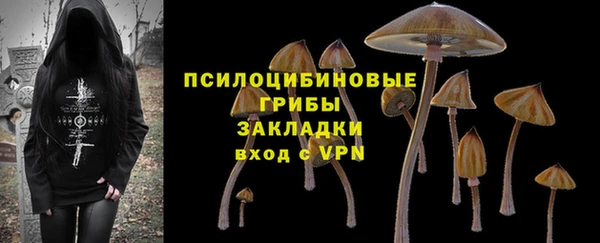трава Вязьма