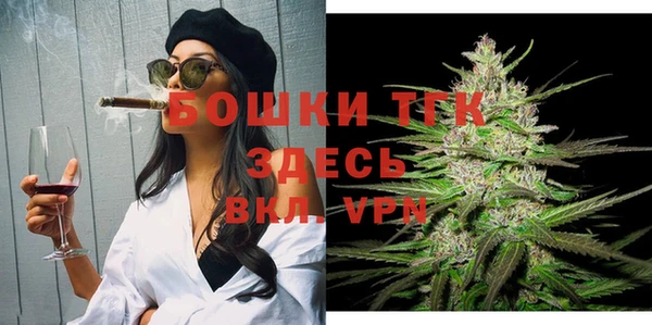 spice Вяземский