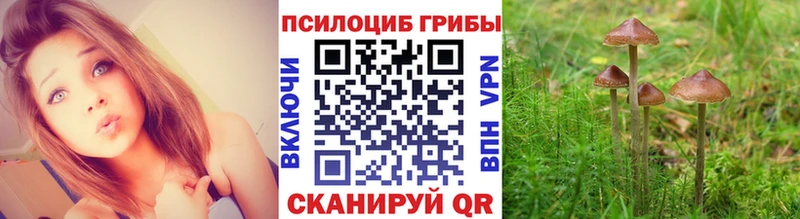 Псилоцибиновые грибы Magic Shrooms Вытегра